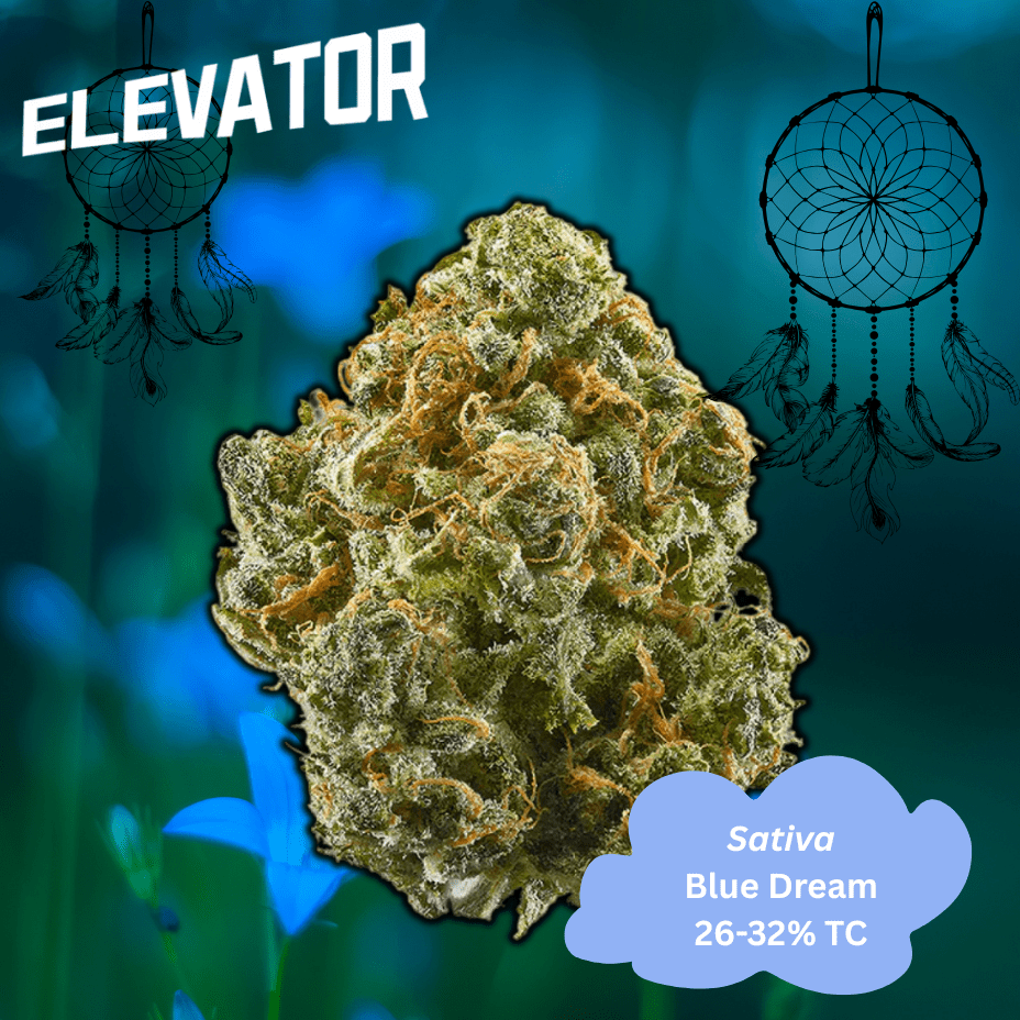 Elevator Blue Dream Flower - 28g Morden Vape SuperStore and Cannabis Manitoba Canada