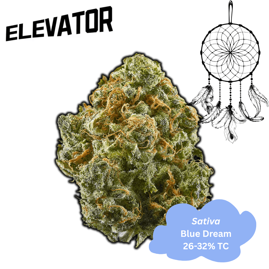 Elevator Blue Dream Flower - 28g Morden Vape SuperStore and Cannabis Manitoba Canada