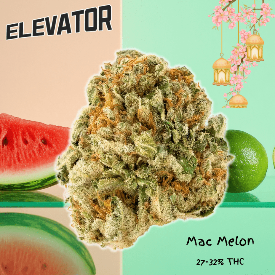 Elevator Mac Melon Flower - 7g Morden Vape SuperStore and Cannabis Manitoba Canada