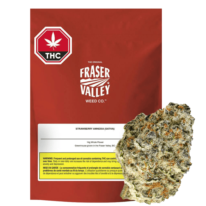 Fraser Valley Strawberry Amnesia Flower - 28g Morden Vape SuperStore and Cannabis Manitoba Canada