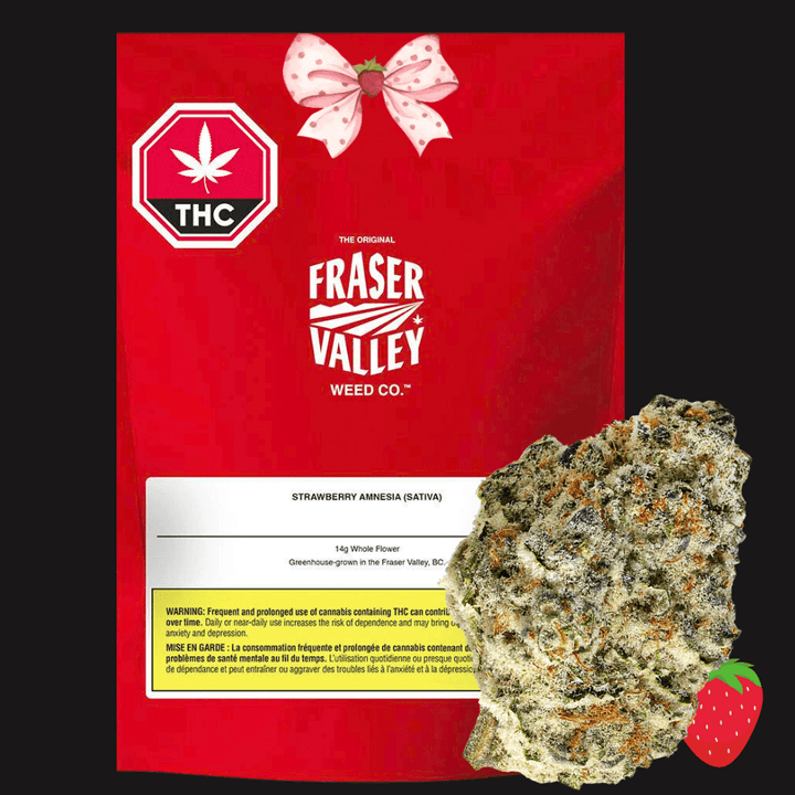 Fraser Valley Strawberry Amnesia Flower - 28g Morden Vape SuperStore and Cannabis Manitoba Canada