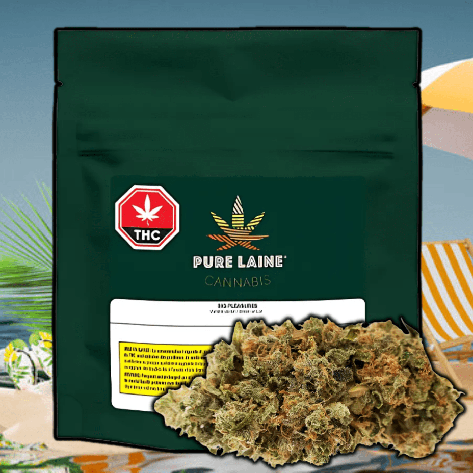Pure Laine Big Pleasures (Rotating) Flower-28g 28g Morden Vape SuperStore and Cannabis Manitoba Canada