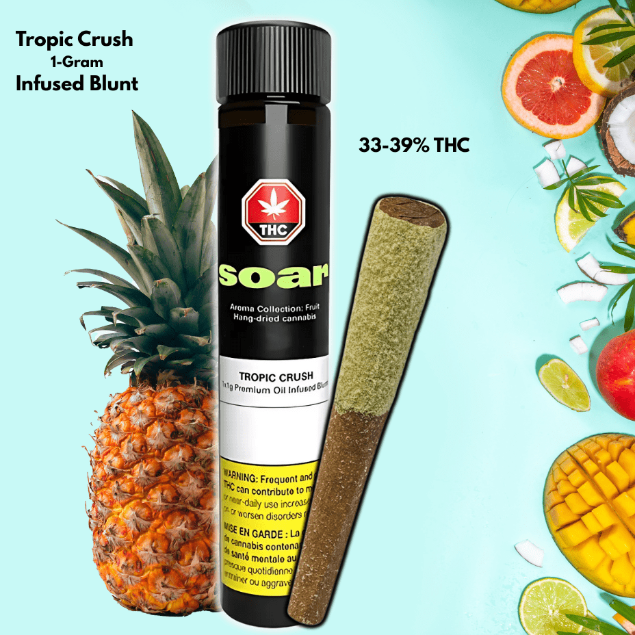 Soar Tropic Crush Infused Blunt 1x1g 1x1g Morden Vape SuperStore and Cannabis Manitoba Canada