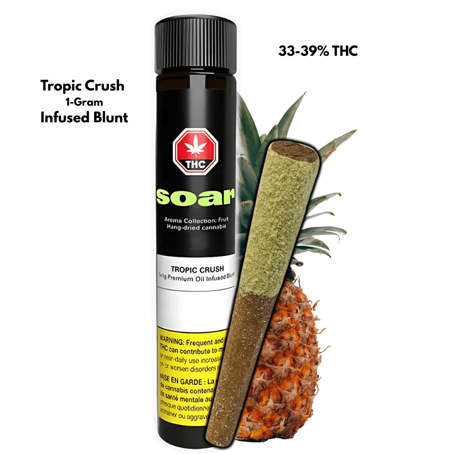 Soar Tropic Crush Infused Blunt 1x1g 1x1g Morden Vape SuperStore and Cannabis Manitoba Canada