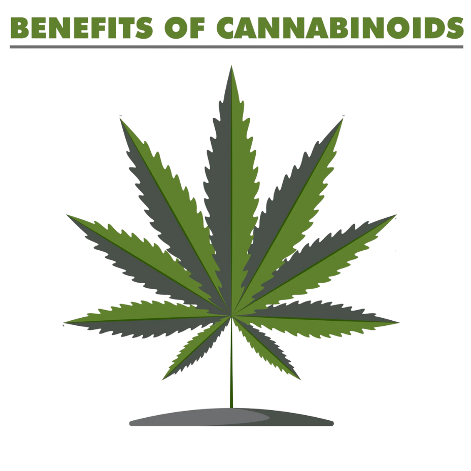 What are Cannabinoids?