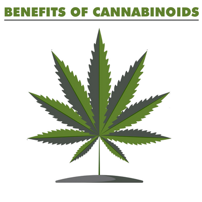 What are Cannabinoids?