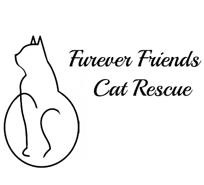 Furever Friends - Local Community Highlight