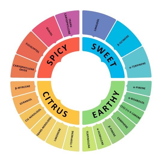 A Deep Dive Into Terpenes