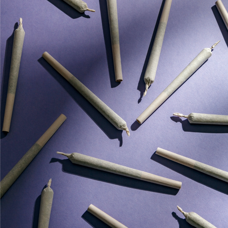 Buy sativa pre-rolls in Manitoba