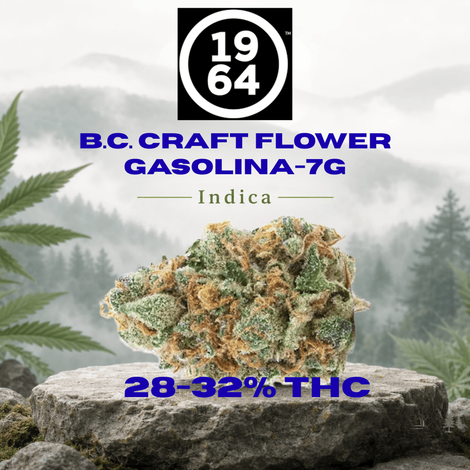 1964 Gasolina CRAFT Indica Flower-7g Morden Vape SuperStore and Cannabis Manitoba Canada