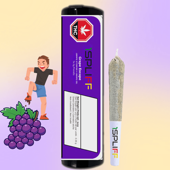 1Spliff - Grape Escape Pre-rolls 7x0.5g Morden Vape SuperStore and Cannabis Manitoba Canada