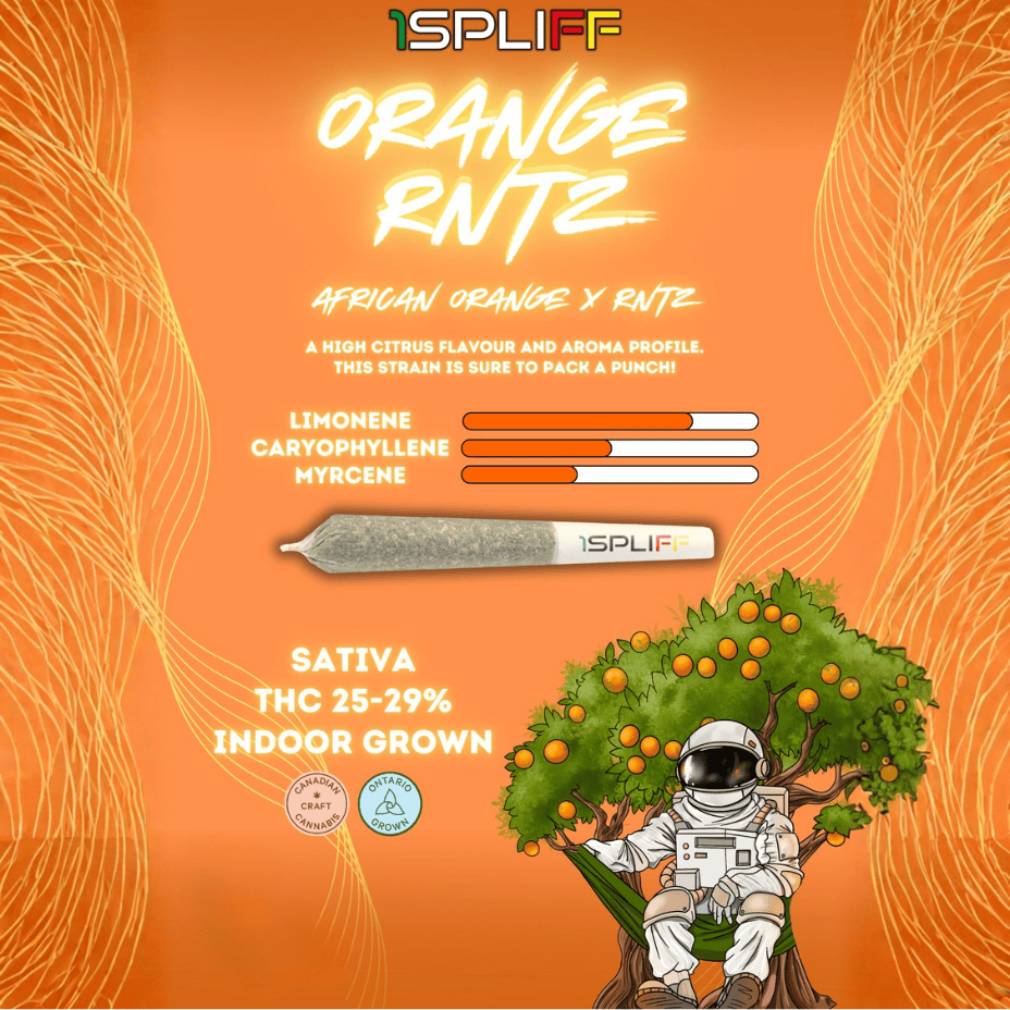 1SPLIFF Orange Rntz CRAFT Hybrid Pre-Rolls - 7x0.5g Morden Vape SuperStore and Cannabis Manitoba Canada