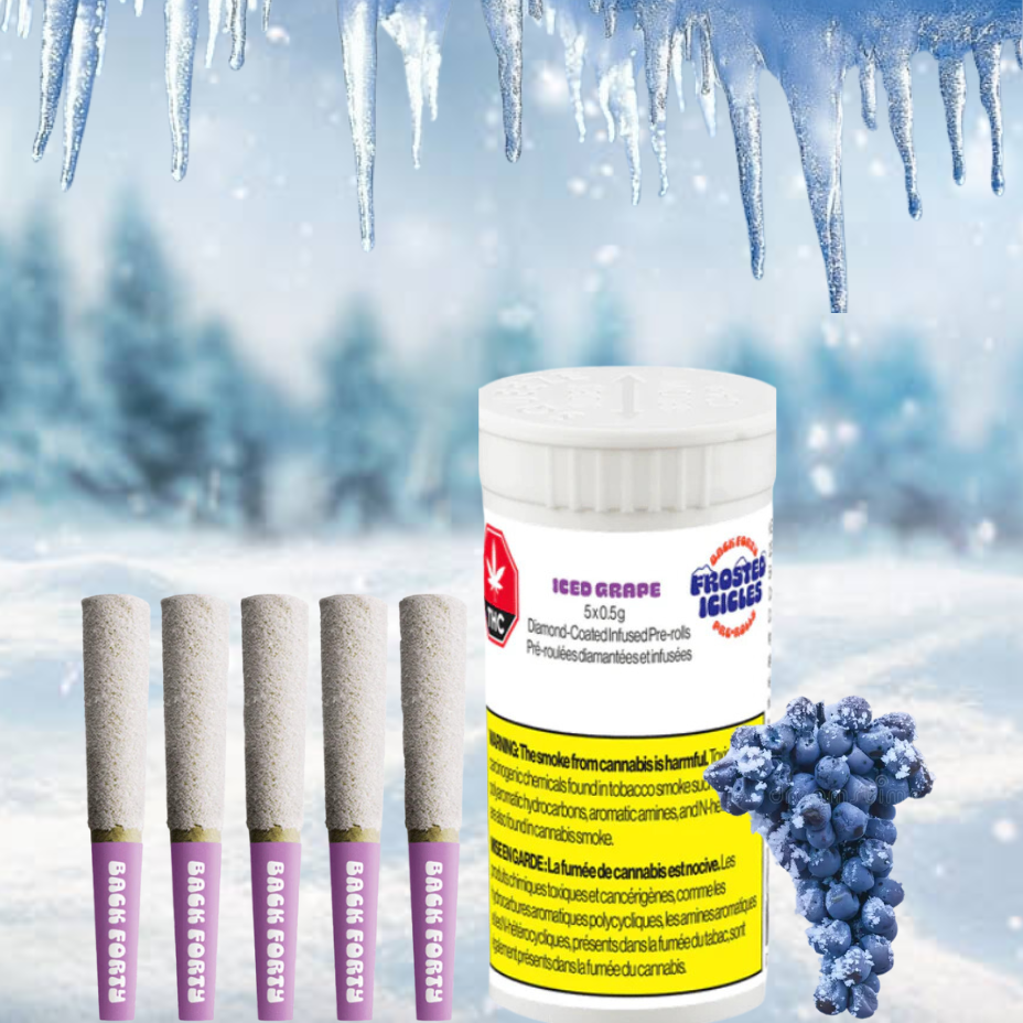 Back Forty Frosted Icicles Grape Infused Pre-Rolls-2x1g