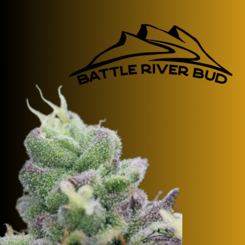 Buy Battle River Bud Cannabis in Morden Manitoba