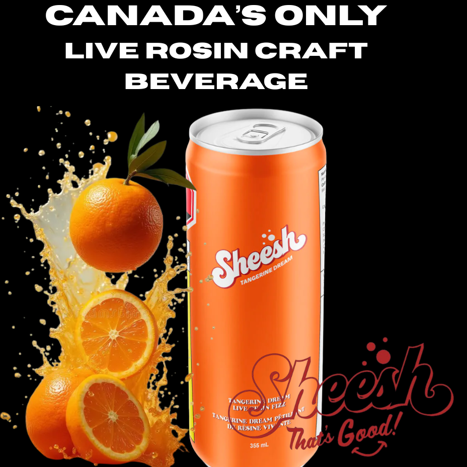 Buy Sheesh Hash Soda Banjorine Live Rosin Cola THC Beverage in Morden Manitoba.