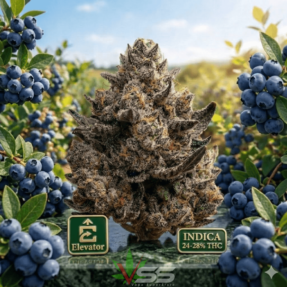 Buy a powerhouse of pure relaxation with Elevator Blueberry Kush Indica Craft Flower in Morden, Manitoba. 