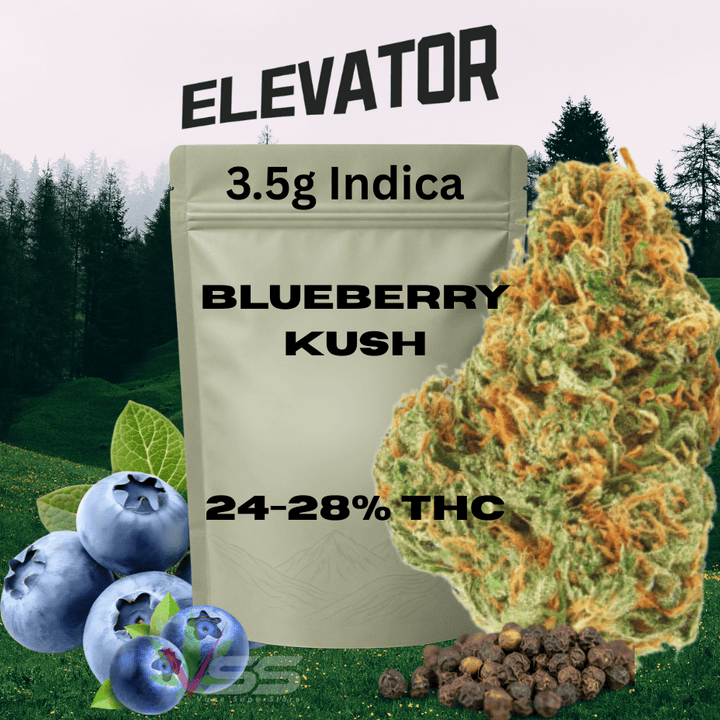 Elevator Blueberry Kush Indica Craft Flower in Morden, Manitoba. 