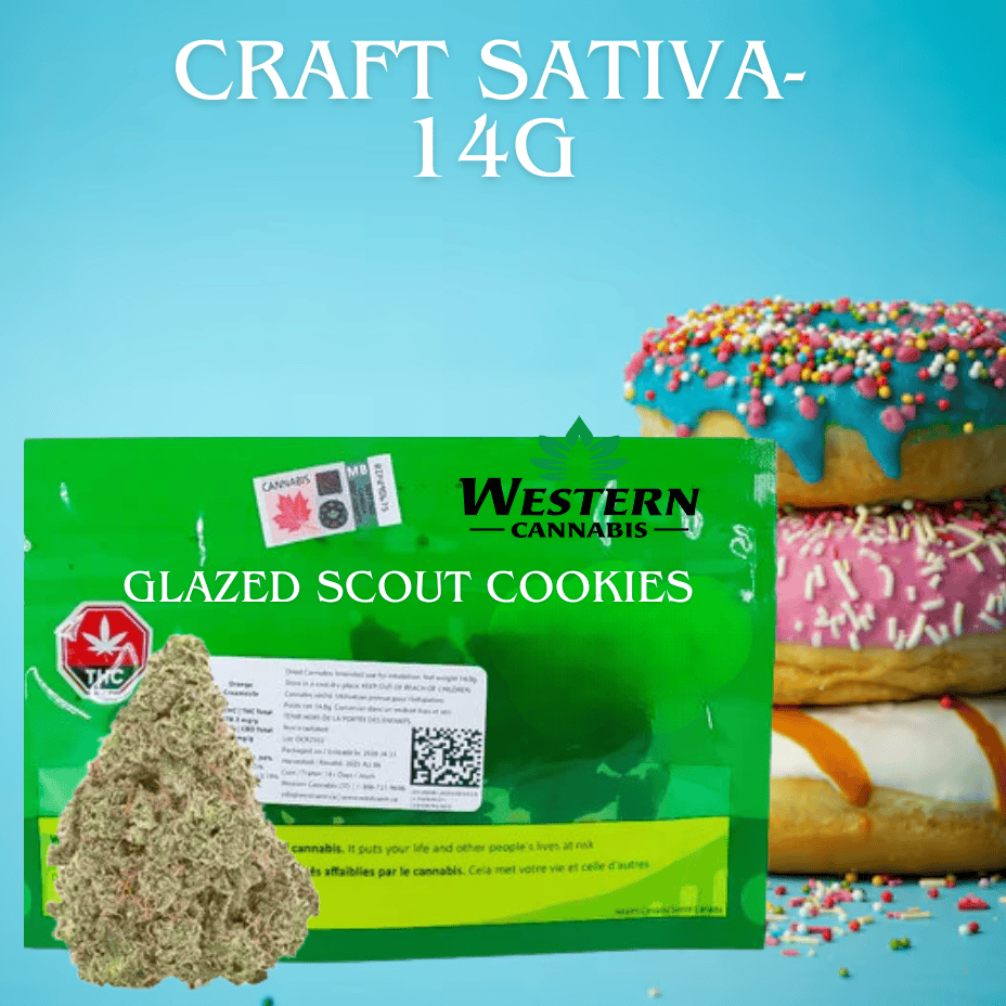Western Cannabis Glazed Scout Cookies Sativa CRAFT Flower-14g Morden Vape SuperStore and Cannabis Manitoba Canada
