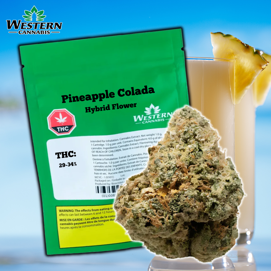 Western Cannabis Pineapple Colada Flower 28g in Morden Manitoba at Vape SuperStore and Cannabis Dispensary