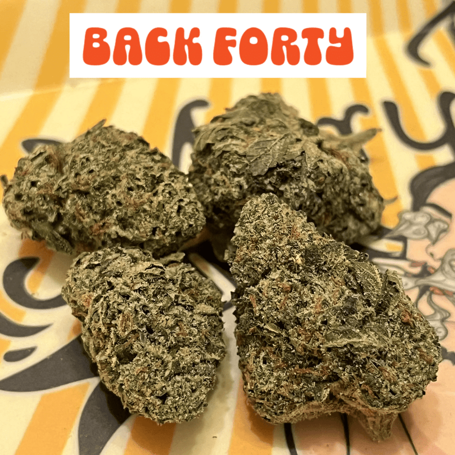 Back Forty Flower 7g Back Forty Liquid Imagination Hybrid Flower-7g-Morden Vape & Cannabis