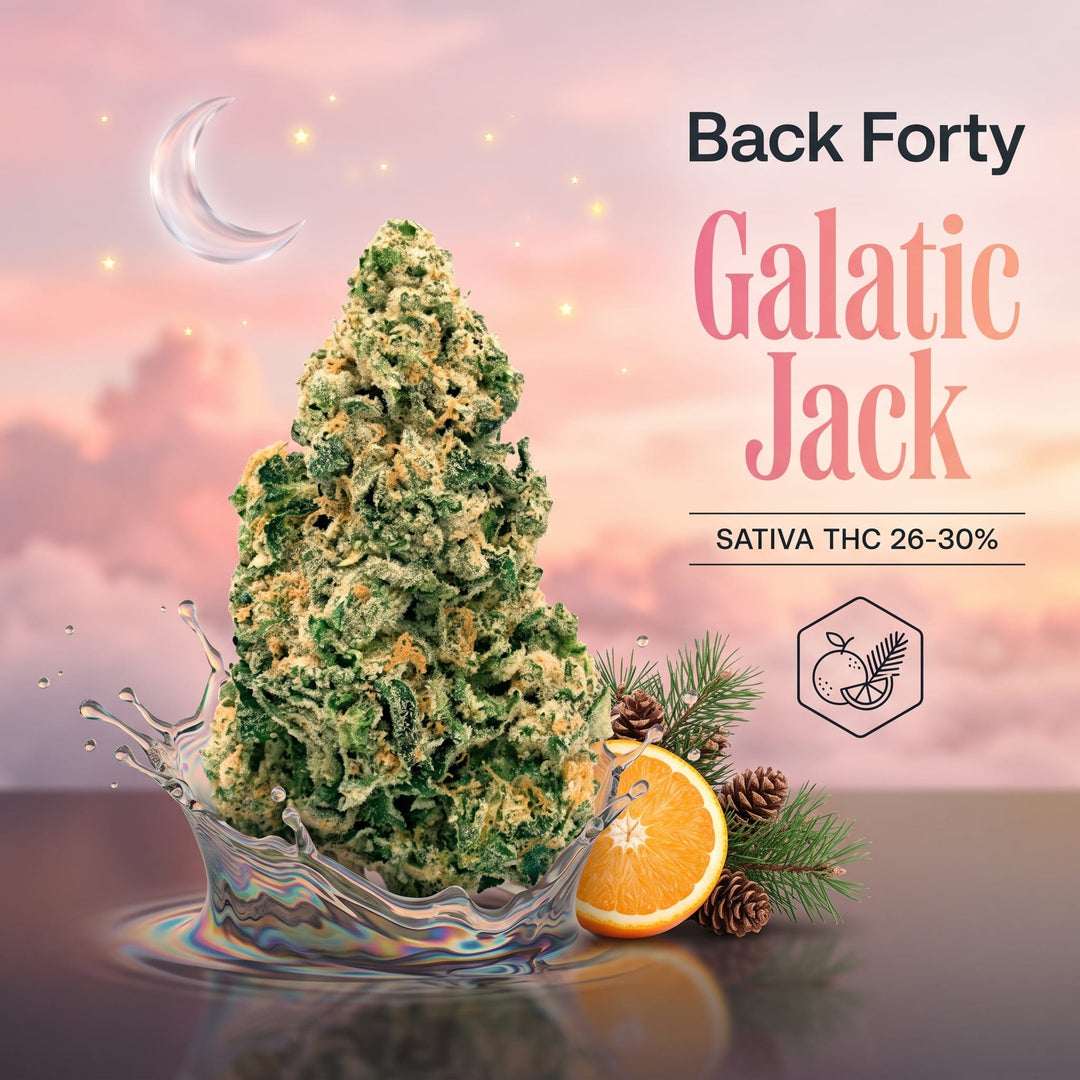 Back Forty Galactic Jack Sativa Flower - 28g Morden Vape SuperStore and Cannabis Manitoba Canada