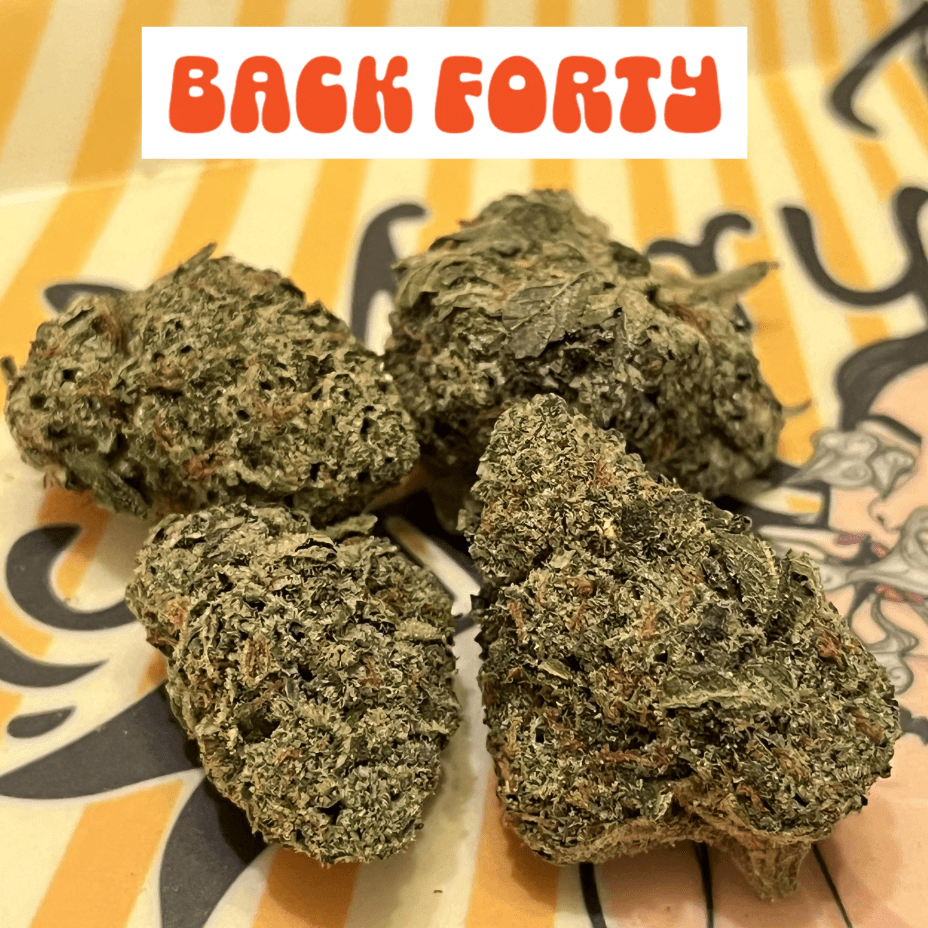 Back Forty Liquid Imagination Hybrid Flower-3.5g Morden Vape SuperStore and Cannabis Manitoba Canada
