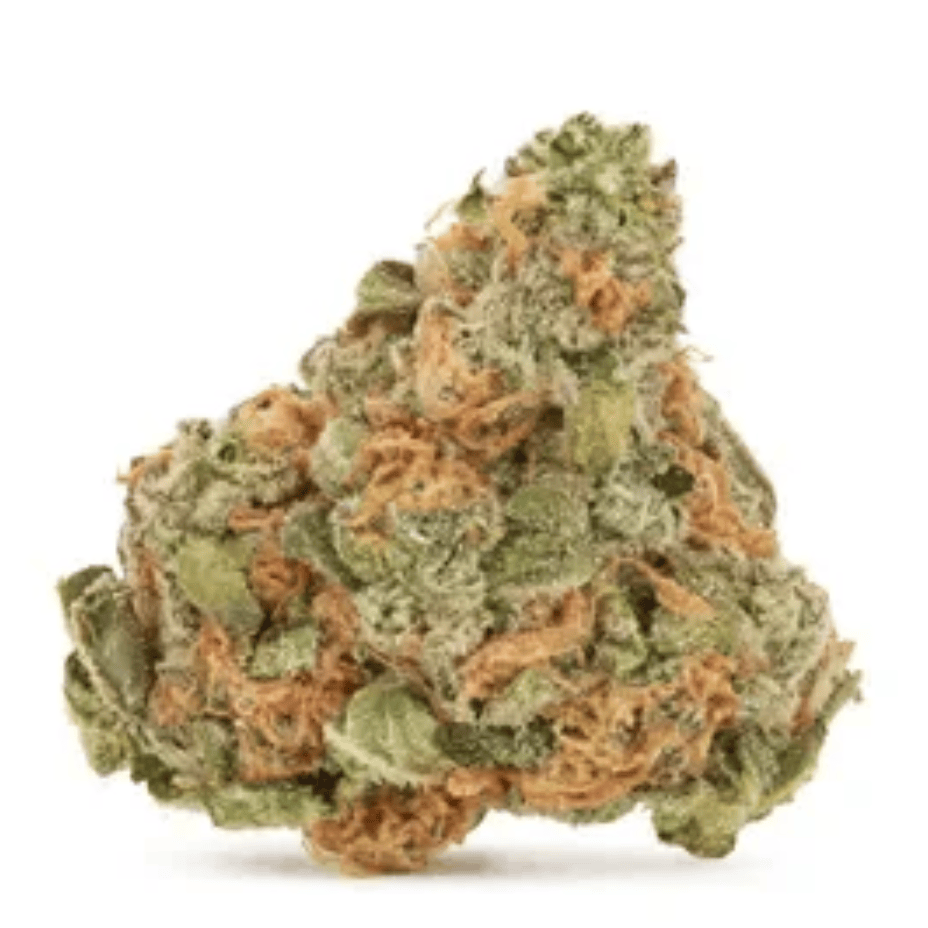 Beach Bum Cabana Boy Hybrid Flower-3.5g Morden Vape SuperStore and Cannabis Manitoba Canada