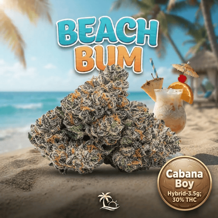 Beach Bum Cabana Boy Hybrid Flower-3.5g Morden Vape SuperStore and Cannabis Manitoba Canada