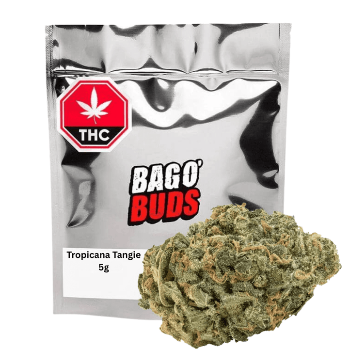 Big Bag O' Buds Tropicana Tangie Sativa Flower - 5g Morden Vape SuperStore and Cannabis Manitoba Canada