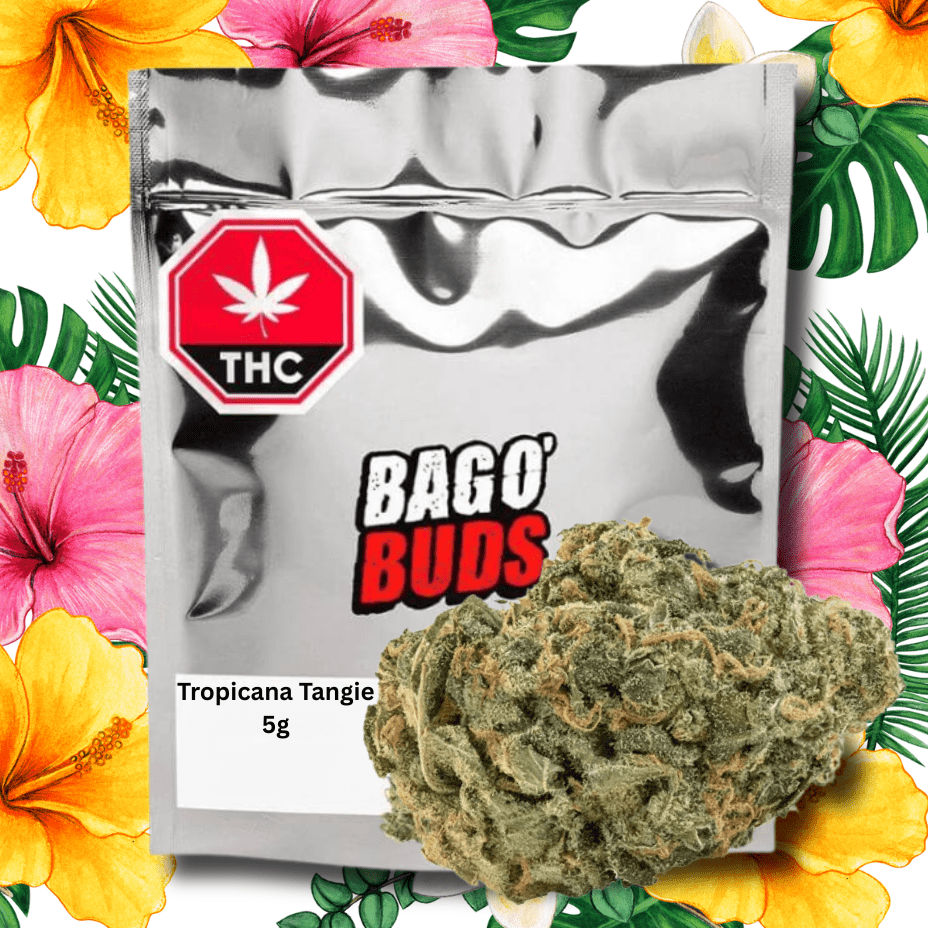 Big Bag O' Buds Tropicana Tangie Sativa Flower - 5g Morden Vape SuperStore and Cannabis Manitoba Canada