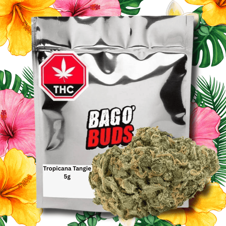 Big Bag O' Buds Tropicana Tangie Sativa Flower - 5g Morden Vape SuperStore and Cannabis Manitoba Canada