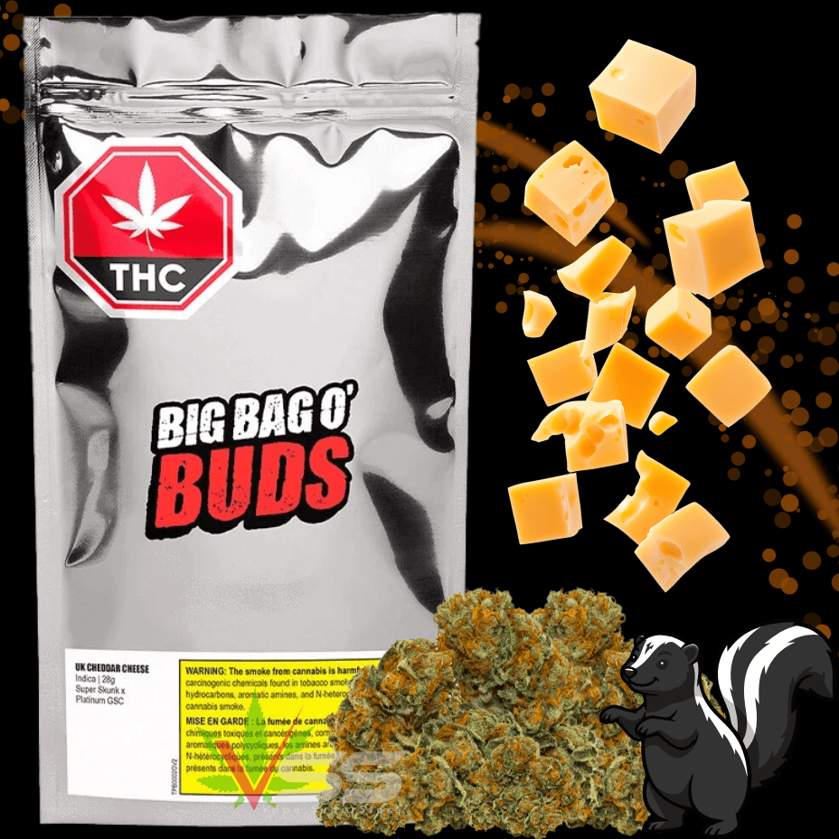 Big Bag O' Buds UK Cheddar Cheese Indica Flower - 28g Morden Vape SuperStore and Cannabis Manitoba Canada