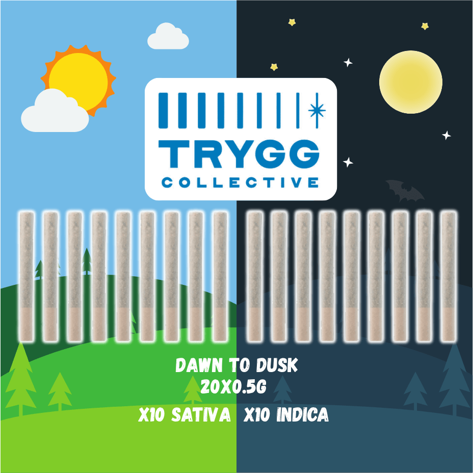 Block Party Dawn to Dusk Pre-rolls 20x0.5g 20x0.5g Morden Vape SuperStore and Cannabis Manitoba Canada