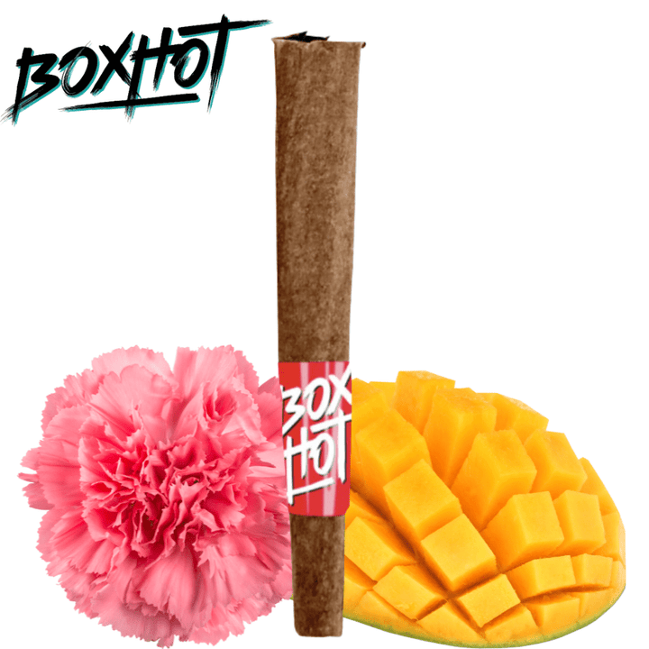 BoxHot Pre-Rolls 3x0.5g BOXHOT Stubbies Exotic Mango Vortex Indica Infused Blunts-3x0.5g-MVSS
