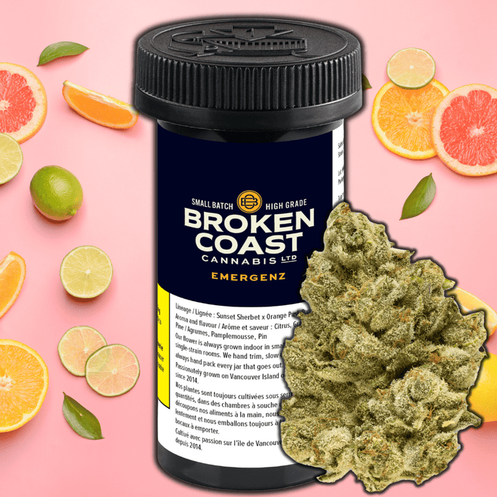 Broken Coast EmergenZ Sativa Flower - 14g Morden Vape SuperStore and Cannabis Manitoba Canada
