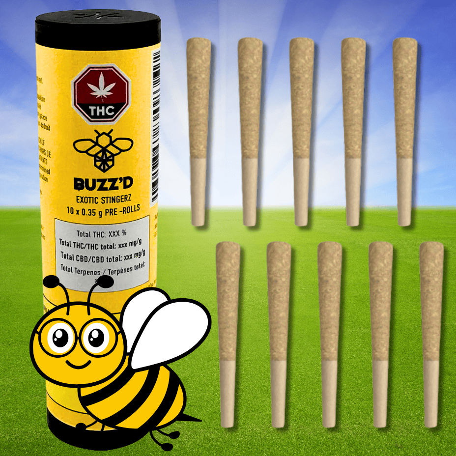 Buzz'd - Exotic Stingerz Sativa Pre-rolls 10x0.35g Morden Vape SuperStore and Cannabis Manitoba Canada