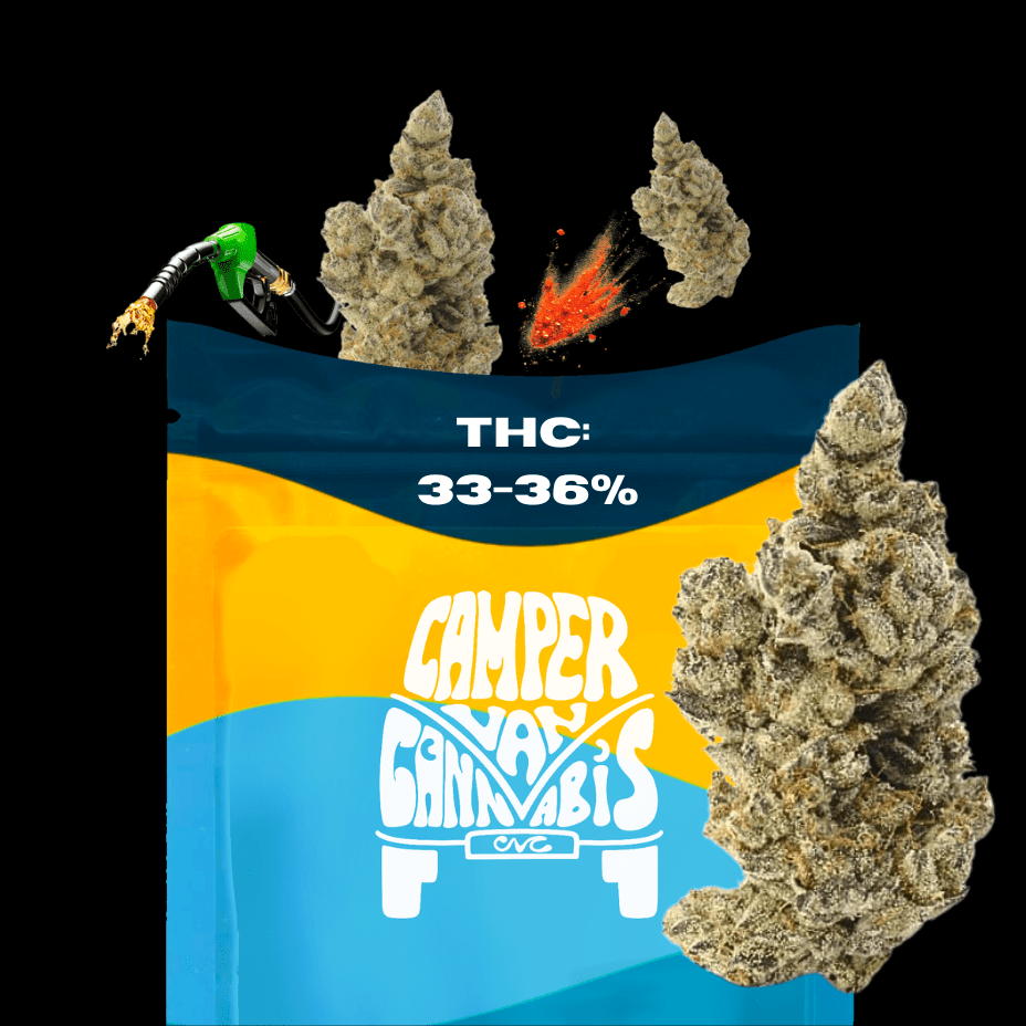 Camper Van Cannabis Road Hog Flower - 28g 28g Morden Vape SuperStore and Cannabis Manitoba Canada