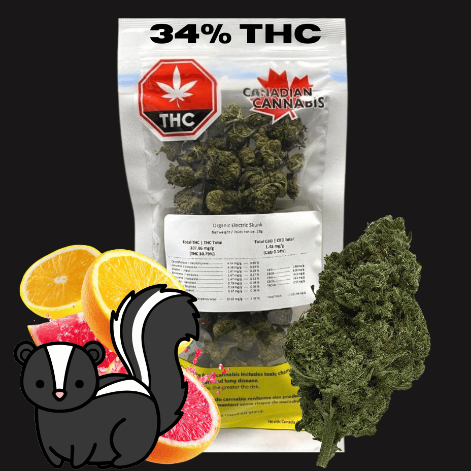 Canadian Cannabis - Organic Electric Skunk Sativa Flower - 28g Morden Vape SuperStore and Cannabis Manitoba Canada