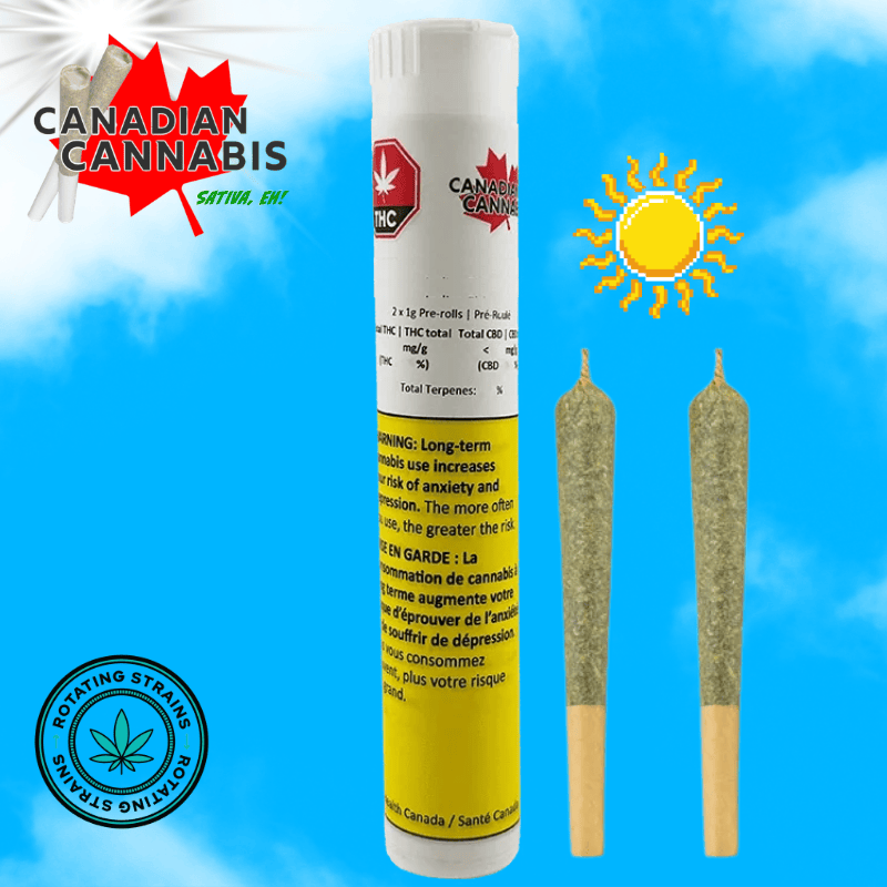 Canadian Cannabis Sativa Eh! Pre-rolls 2x1g Morden Vape SuperStore and Cannabis Manitoba Canada