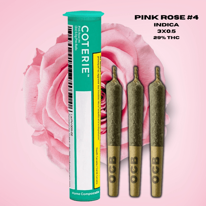 Coterie Pink Rose #4 Pre-rolls 3x0.5g 3x0.5g Morden Vape SuperStore and Cannabis Manitoba Canada