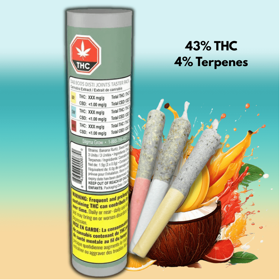 Dab Bods Disti Joint Taster Pack Infused Pre-rolls 3x0.5g 3x0.5g Morden Vape SuperStore and Cannabis Manitoba Canada
