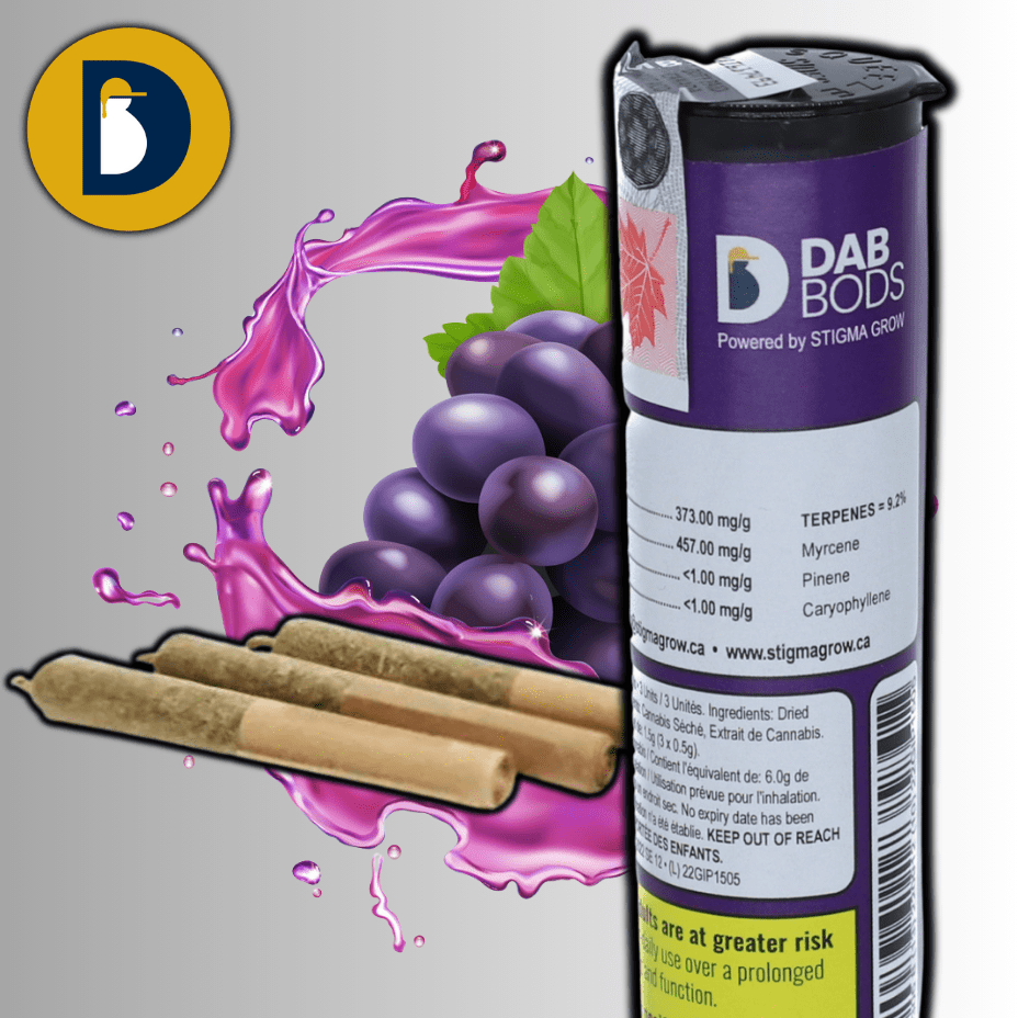 Dab Bods Grape Ape Resin Infused Pre-rolls 3x0.5g 3x0.5g Morden Vape SuperStore and Cannabis Manitoba Canada