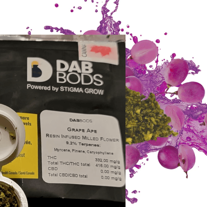 Dab Bods Pre-Rolls 2g Dab Bods Grape Ape Infused Hybrid Flower-2g-Morden Vape & Cannabis