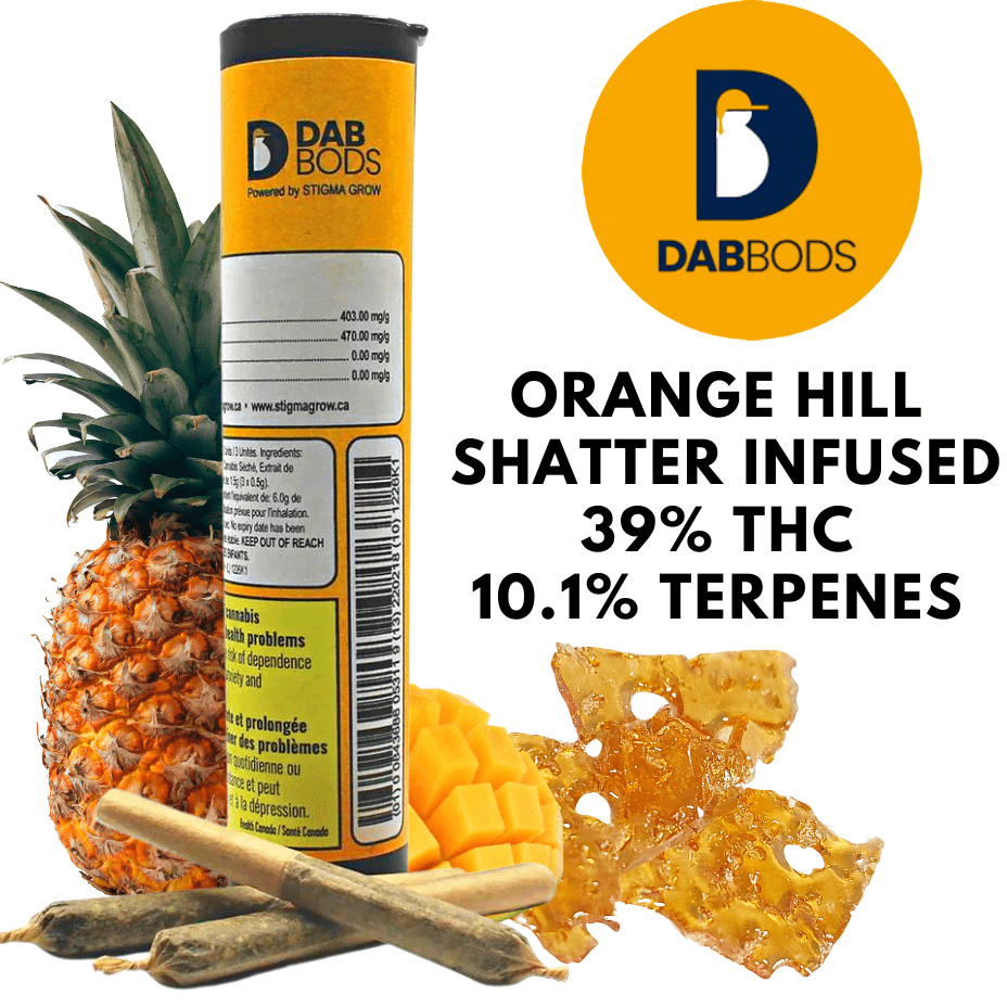 Dab boss orange hill shatter infused pre rolls