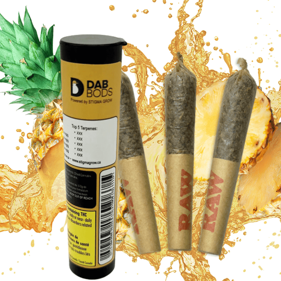 Dab Bods Pre-Rolls 3x0.5g Dab Bods Pineapple Chunk Resin Infused Pre-Rolls-3x0.5g -Morden MB