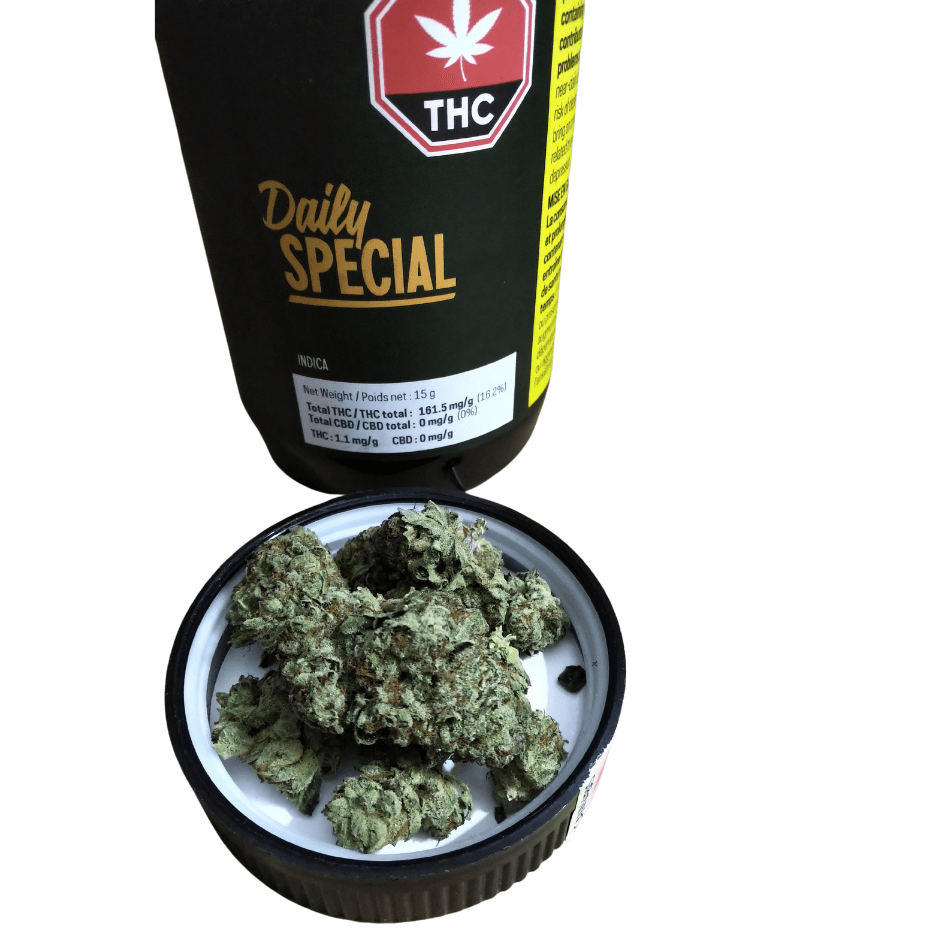 Daily Special Flower 15g Daily Special Sativa Flower-15g-Morden Vape & Cannabis MB, Canada