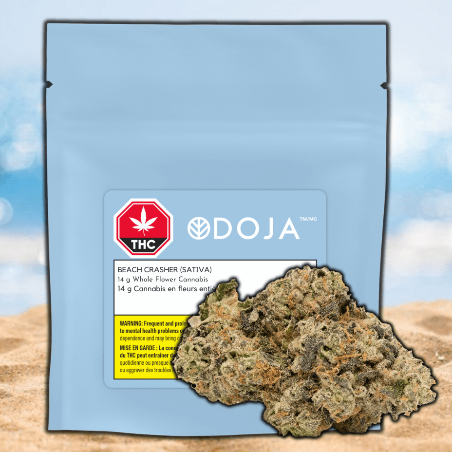 Doja Beach Crasher Sativa Flower-14g 14g Morden Vape SuperStore and Cannabis Manitoba Canada