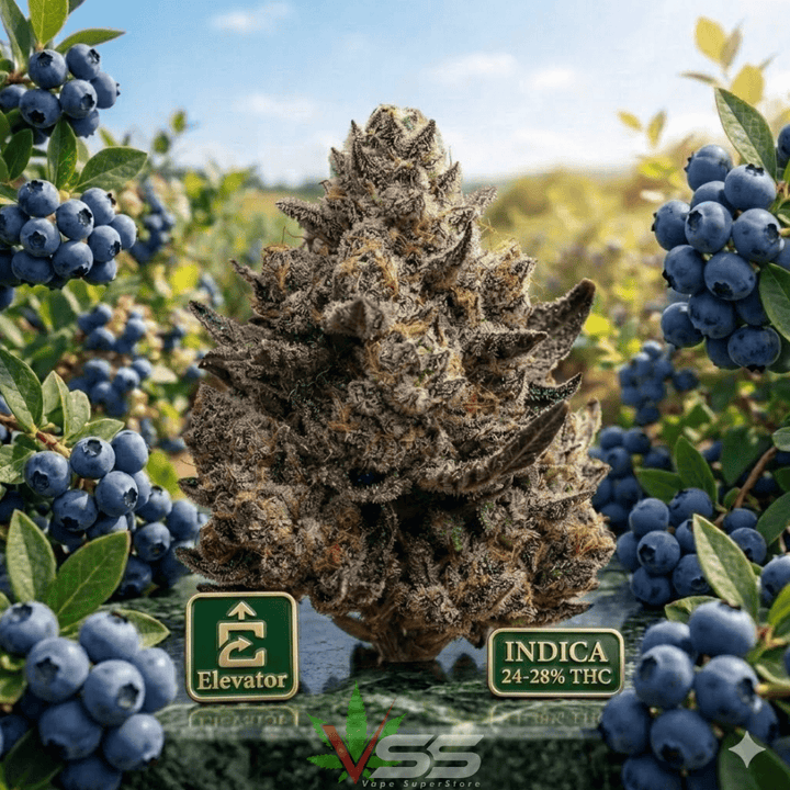 Elevator Blueberry Kush Indica CRAFT Flower-3.5g Morden Vape SuperStore and Cannabis Manitoba Canada