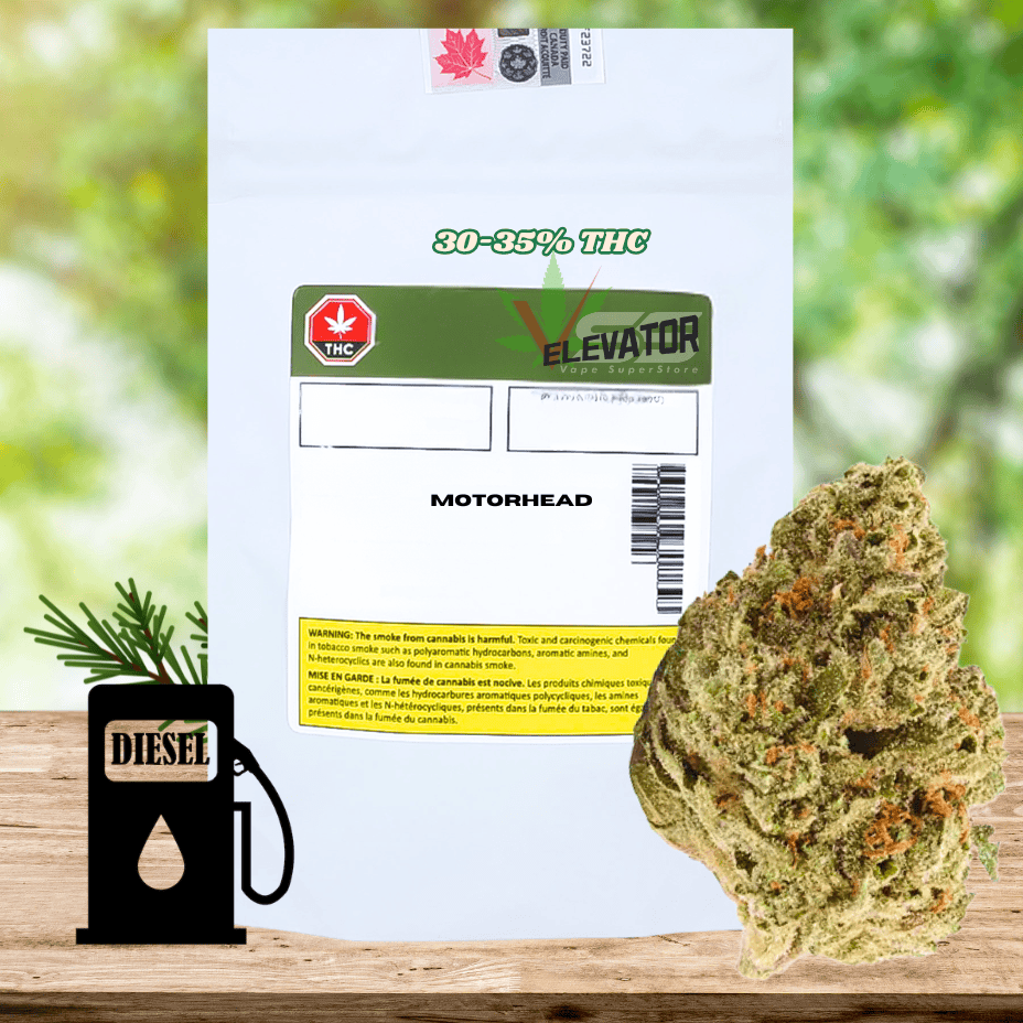 Elevator Motorhead Hybrid Dried Flower - 3.5g Morden Vape SuperStore and Cannabis Manitoba Canada