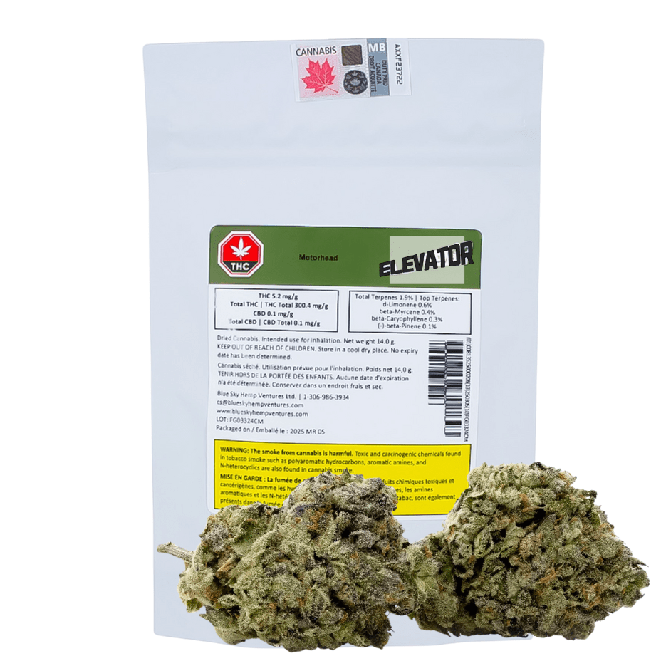 Elevator Motorhead Hybrid Flower - 28g Morden Vape SuperStore and Cannabis Manitoba Canada